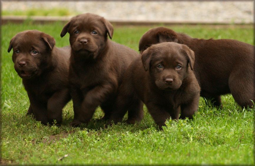 3, 2 & 4