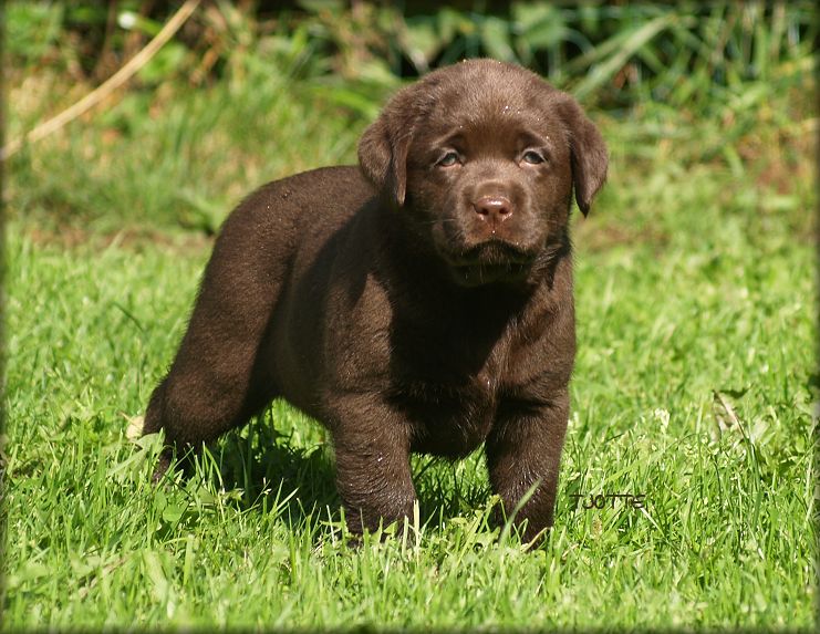 nr:1