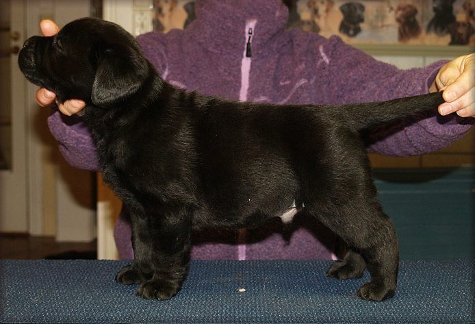 5 weeks