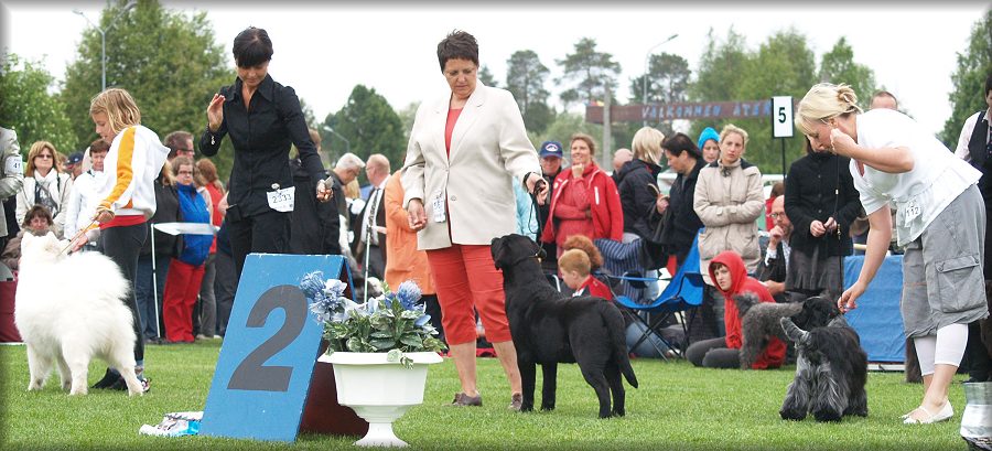 Poker in the final ring