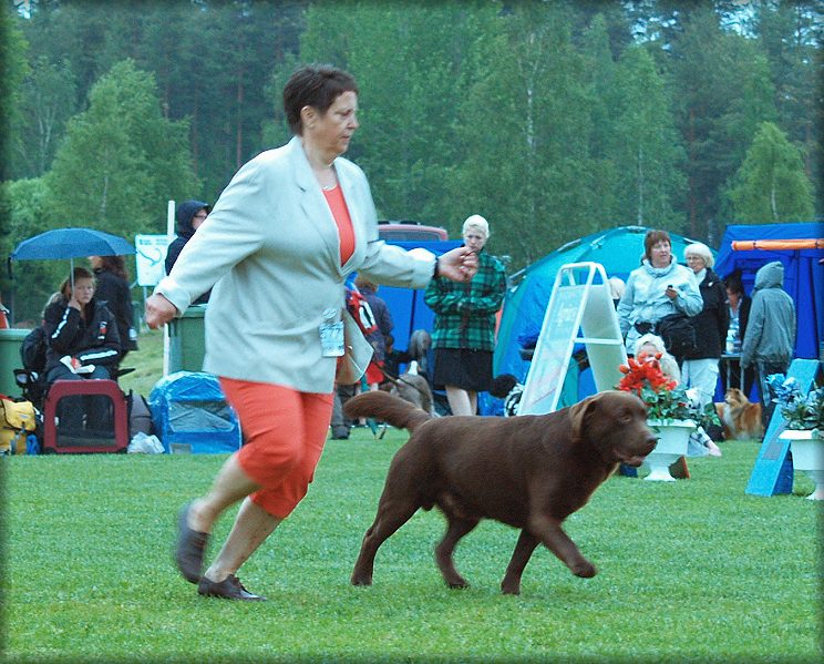 Bark in action and winning the group !!!!!