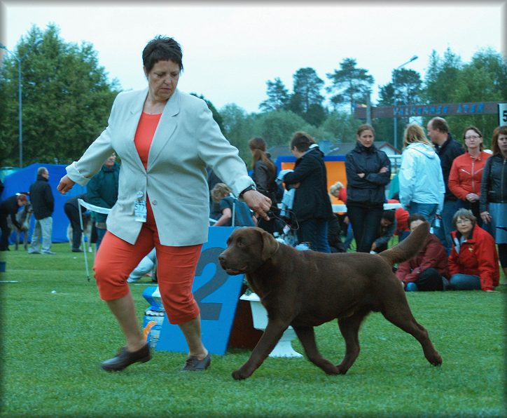 Bark in action