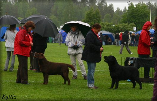 Chatrin & Bark and Bracke with Gun,, thanks for the good handling  :-))