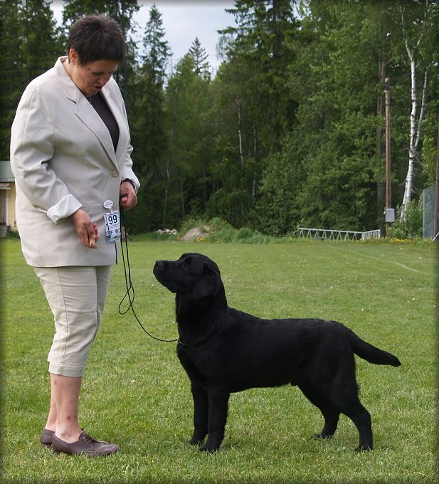 Tjottes Pocket Picker BIS Puppy both days