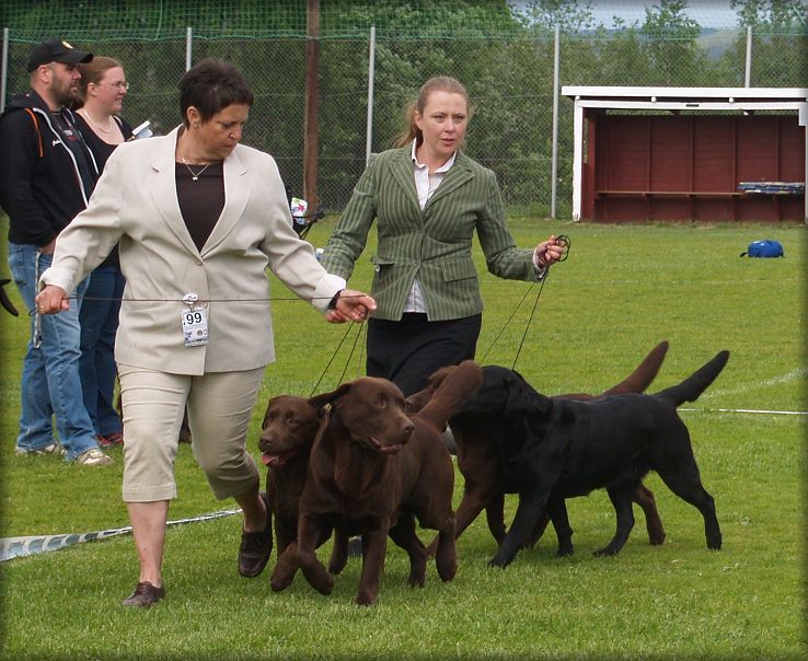 The "gang" saturday - BIS:2 Breedersgroup