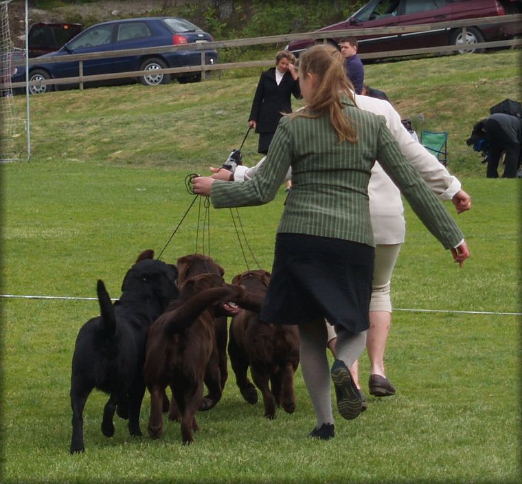 The "gang" saturday - BIS:2 Breedersgroup