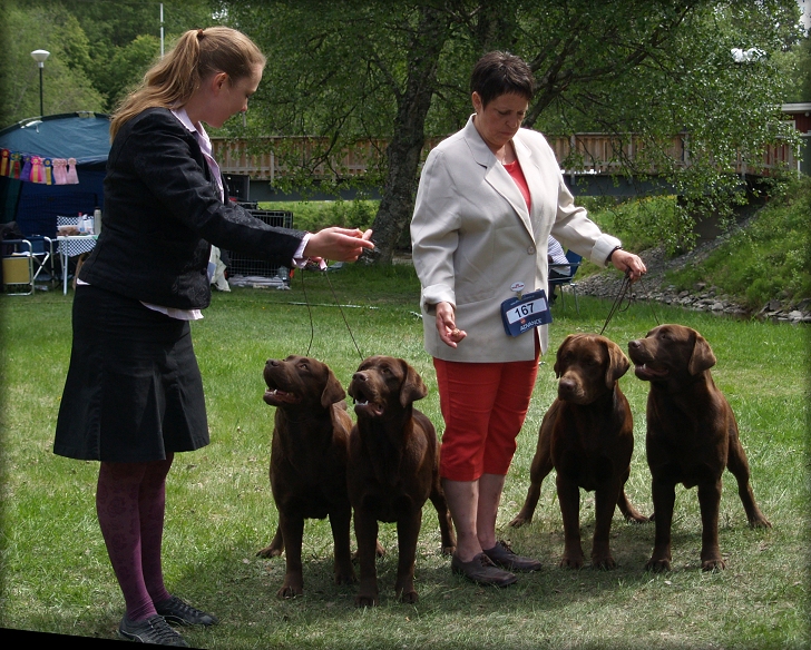 The "Gang" sunday winning BEST IN SHOW