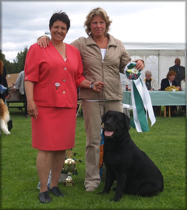 "Bracke"  Breeder & Owner  : UNBEATABLE !!