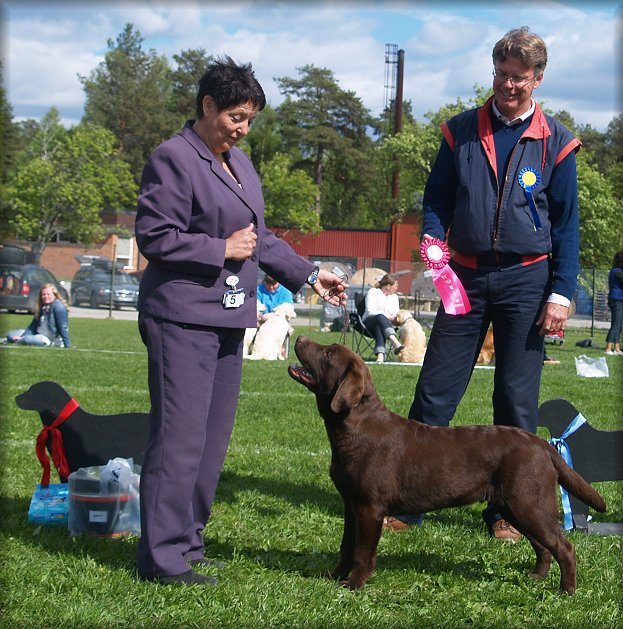 BOB & BEST IN SHOW PUPPY @ 6 months under Henric Fryckstrand