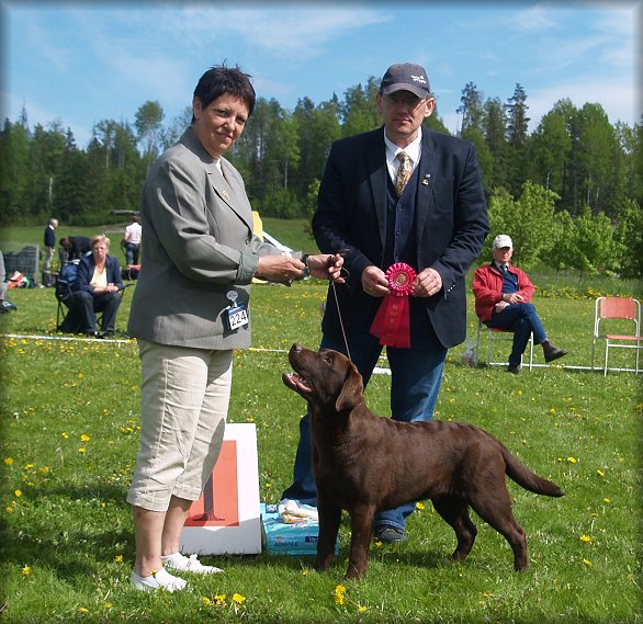 BOB & BEST IN SHOW PUPPY @ 6 months under Bj&ouml;rne S&ouml;rensen & Vidar Grundetjern
