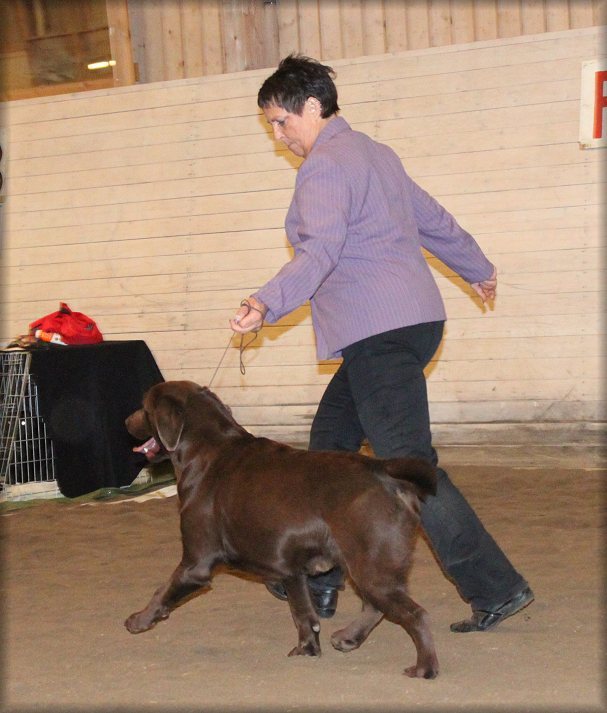 Catcher-- 2nd Best Dog