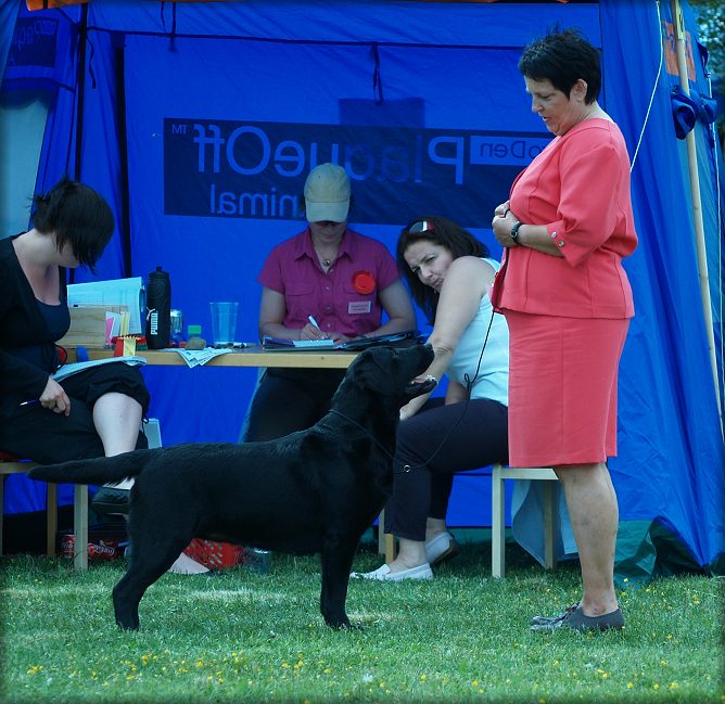Payton Winning Cacib & BOS