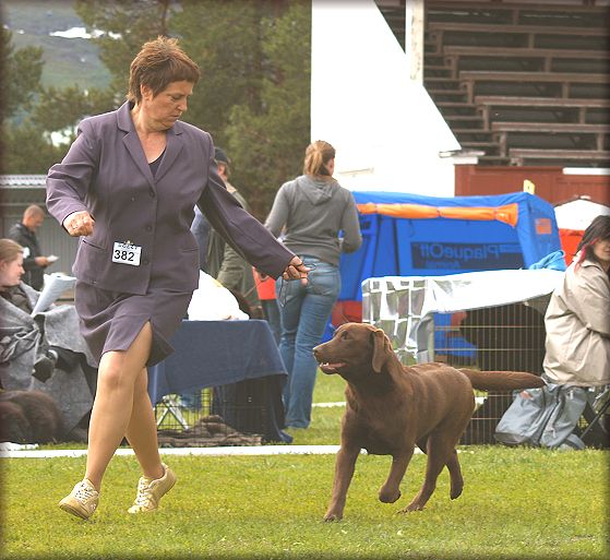 Catcher BOS Puppy