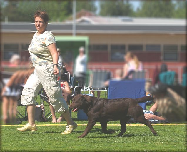Millie on the move