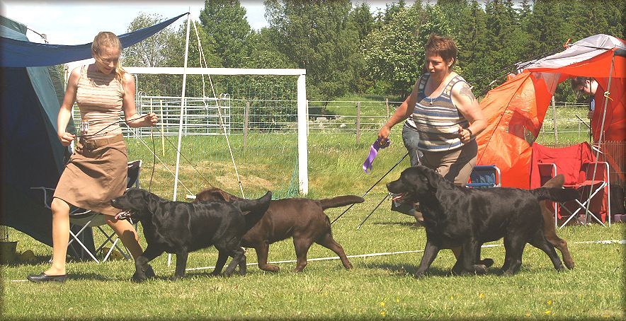 Winning breedersgroup