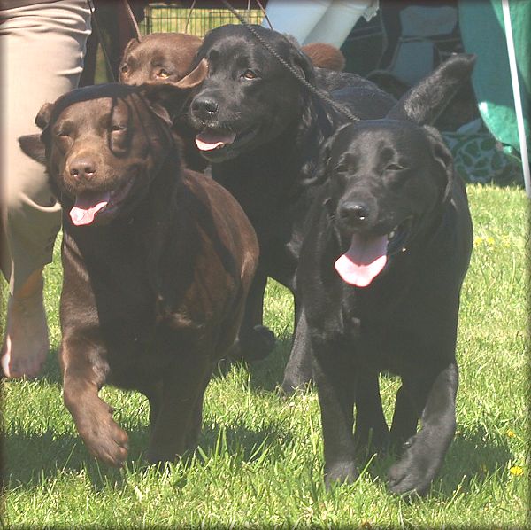 Winning breedersgroup