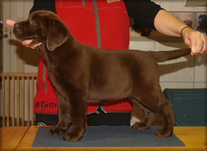 Ferry @ 7weeks n' 5 days