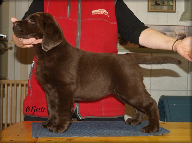 Segra @ 7weeks n' 5 days
