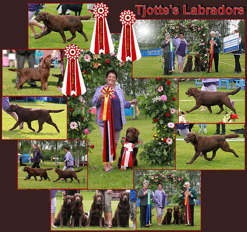 Best In Show 1 & 2 LRC Clubshow 2012