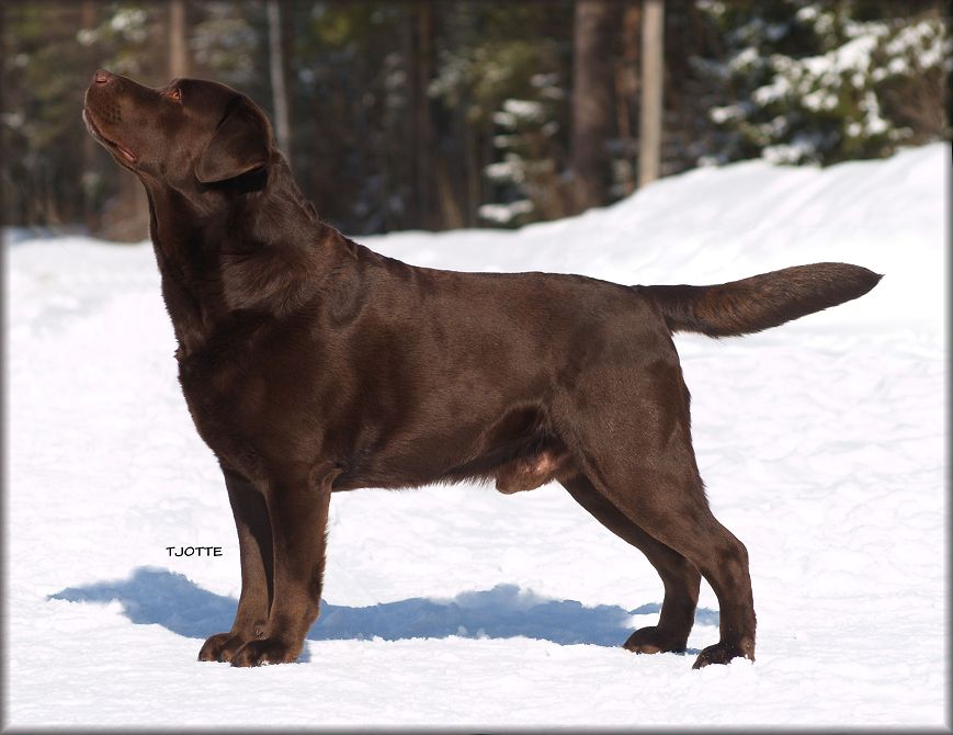 Nero @ almost 5 years