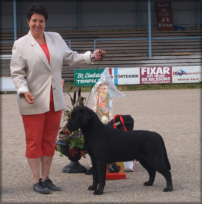 Poker BIS Puppy for the 4th time ! judge Monica Andersson