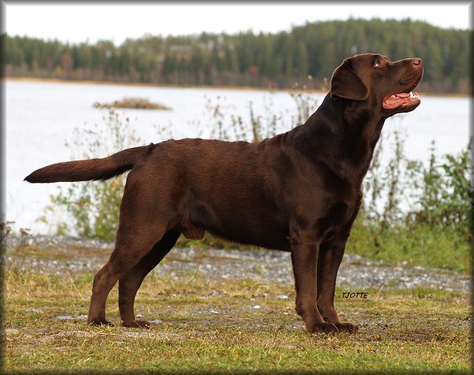 Pepper @ 25 months