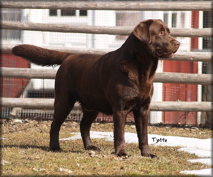 Bark @  2 years