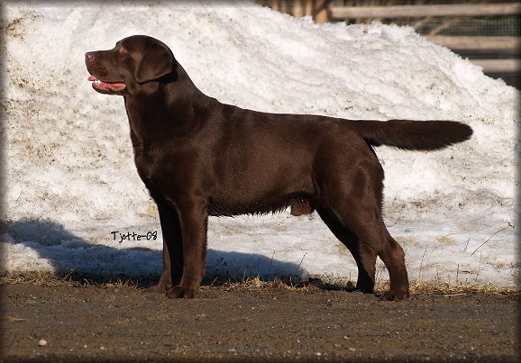 Bark @ 24 months