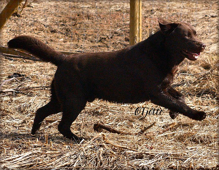 In action  :-))