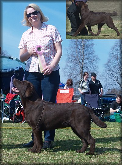 BOB & BEST IN SHOW PUPPY @ 6 months under Leila K&auml;ske