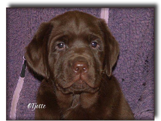@ 7 weeks