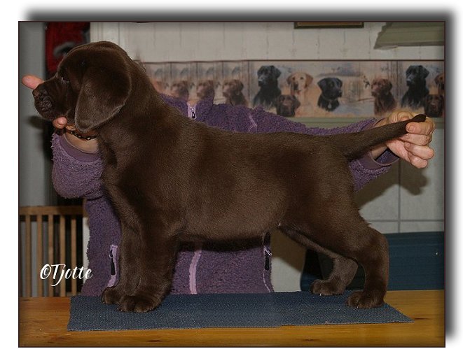 @ 7 weeks 