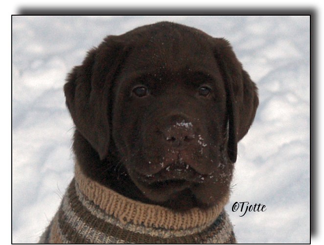 @ 8 weeks