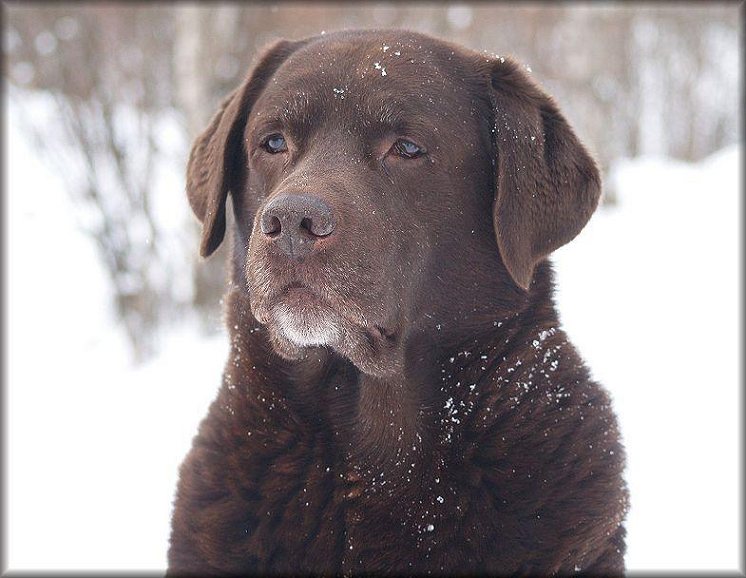 Bubbel @ 11 years