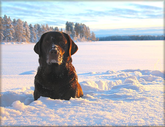 photo: Robin Lindström