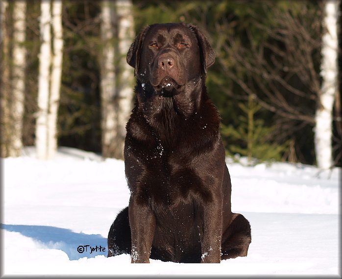 Gucci @ 16 months
