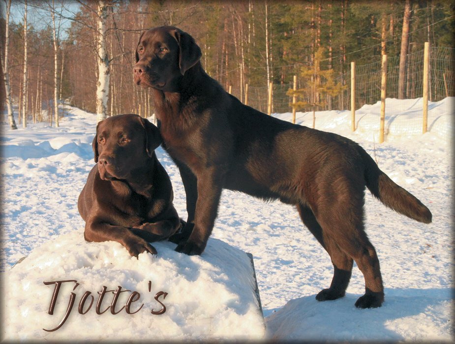 Father "Bark" & son "Dustin"