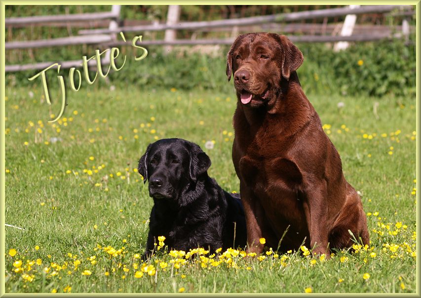 Mother and son !