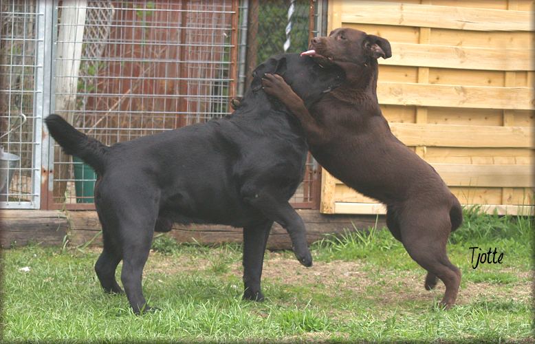 Bracke & Gucci