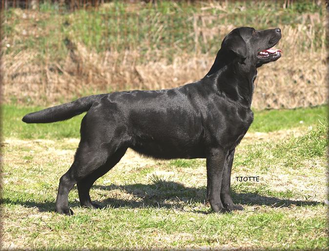 Payton at 26 months