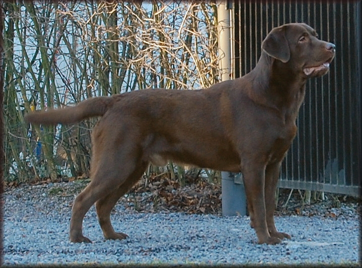 Lasse @ 14 months