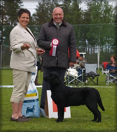 Best In Show Puppy  "Tjottes Pocket Picker"