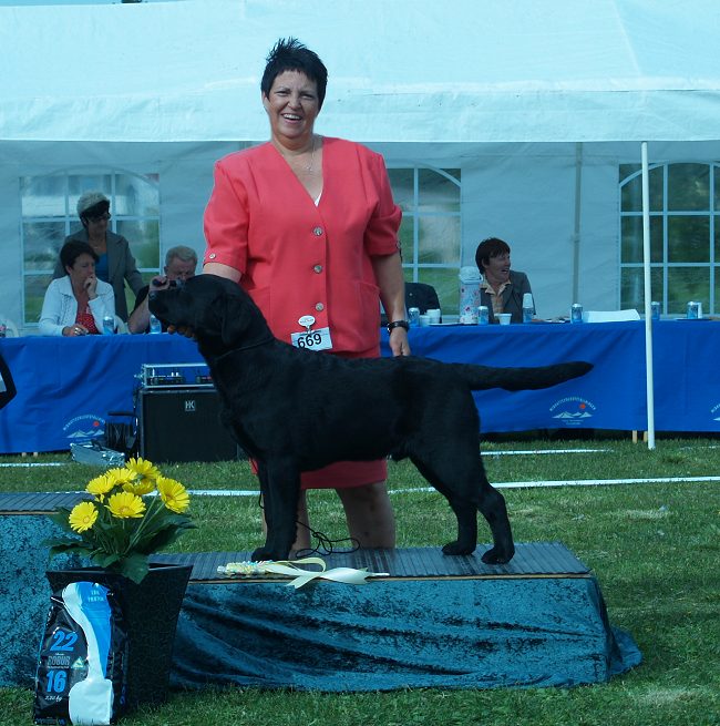 BIS:3 Gällivare SKK All breed show, @ 7 months