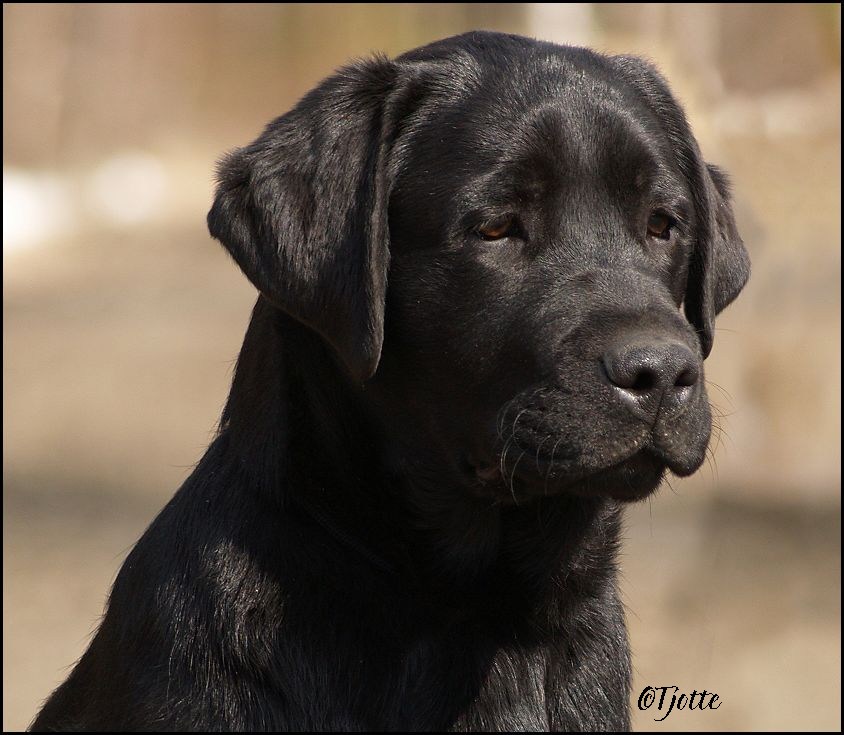 Poker @ 5 months
