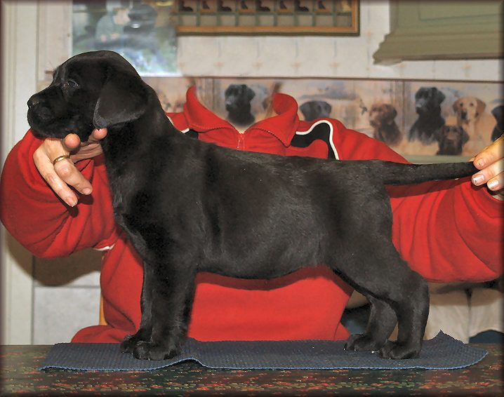 @ 7 weeks