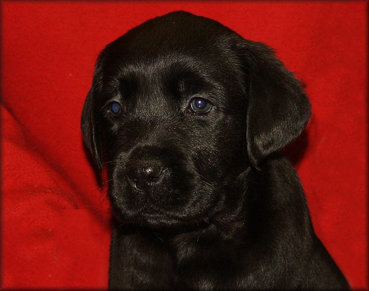 @ 7 weeks