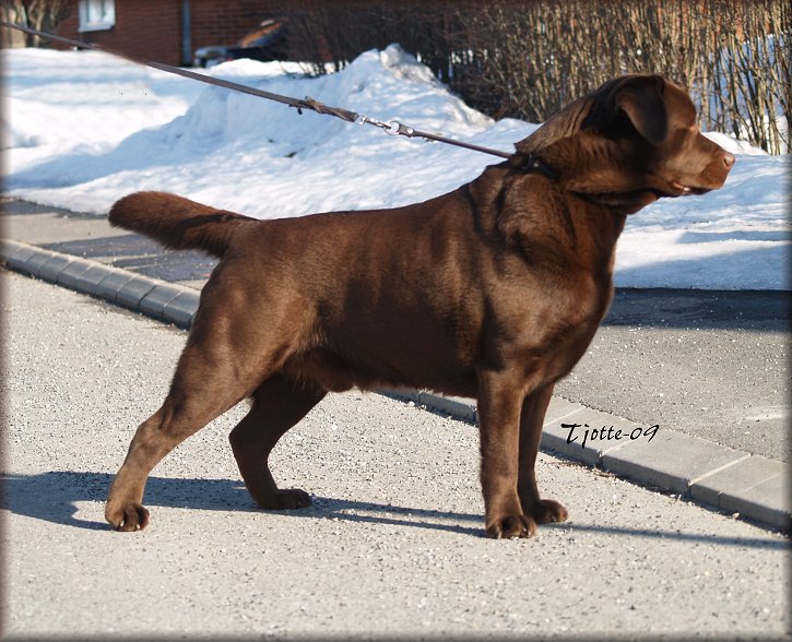 Ragnar @ 3 years