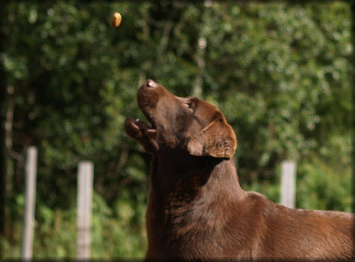 catch  :-))