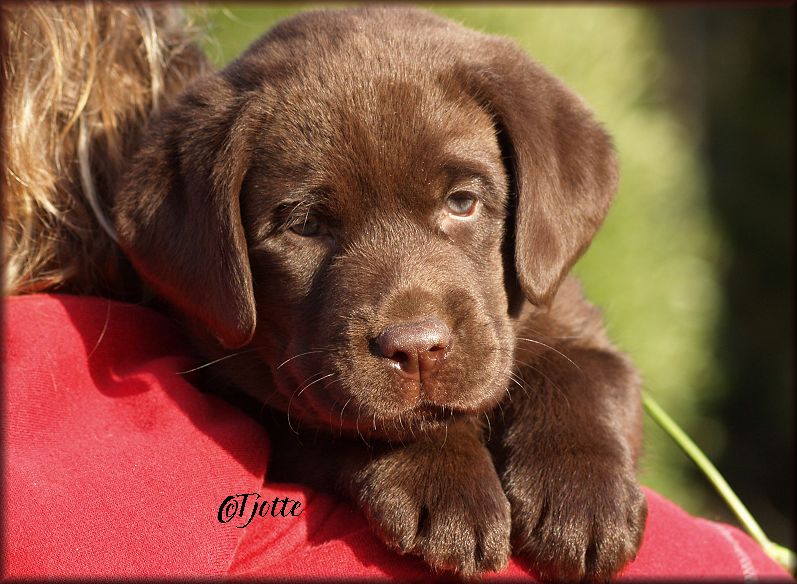 How cute ?