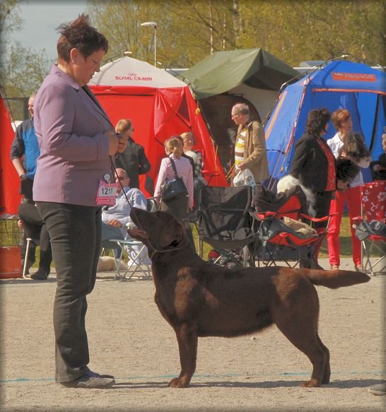 Segra winning her first CC @ 15 months